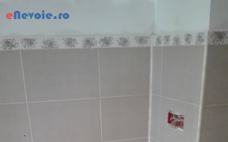 1amenajari-interioare-casa-si-gradina--adrian-razlog.png