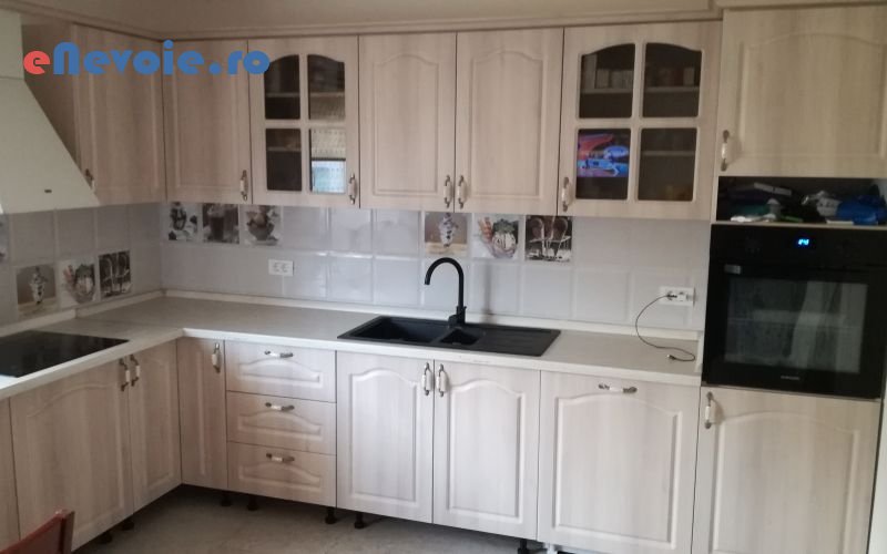 1plasa-de-insecte-montare-mobila-mobilier-horeca-reparatii-mobilier-restaurare-mobilier-mobila-la-comanda-mobilier-si-tamplarie--albert-turcu-.png