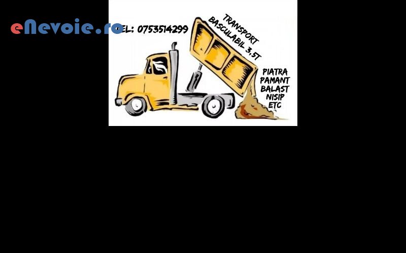 1servicii-mutari-transport-basculabil-transport-marfuri-transport-depozitare--andrei-mizgac.png