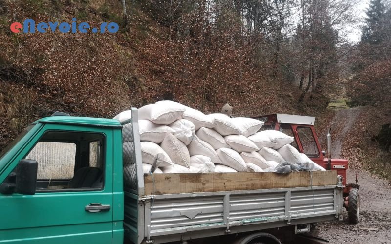 4servicii-mutari-transport-basculabil-transport-marfuri-transport-depozitare--andrei-mizgac.png