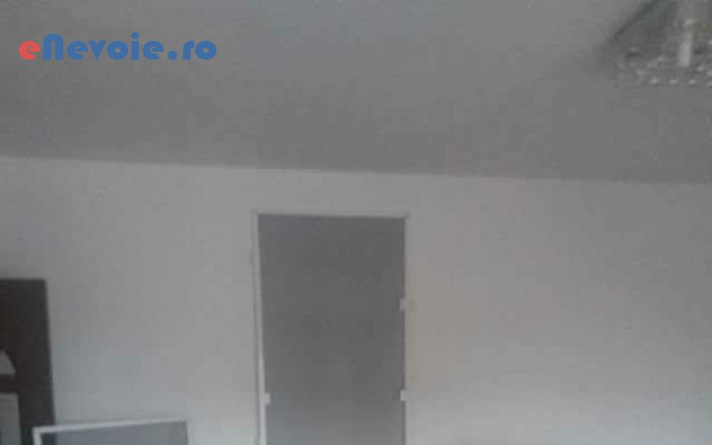 2plasa-de-insecte-mobilier-si-tamplarie--andrei-silviu.png