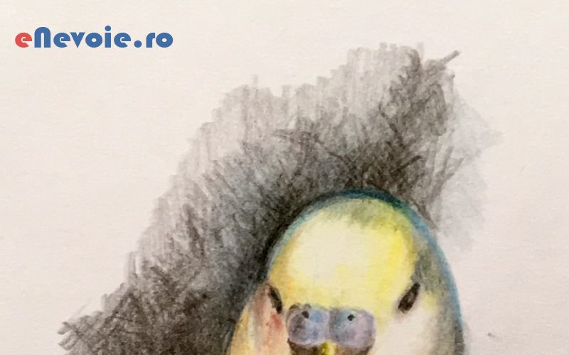 3mancare-homemade-pictura-desene-portrete-aranjamente-si-decoratiuni-cadouri-personalizate-homemade-handmade--angela-haq-51.png
