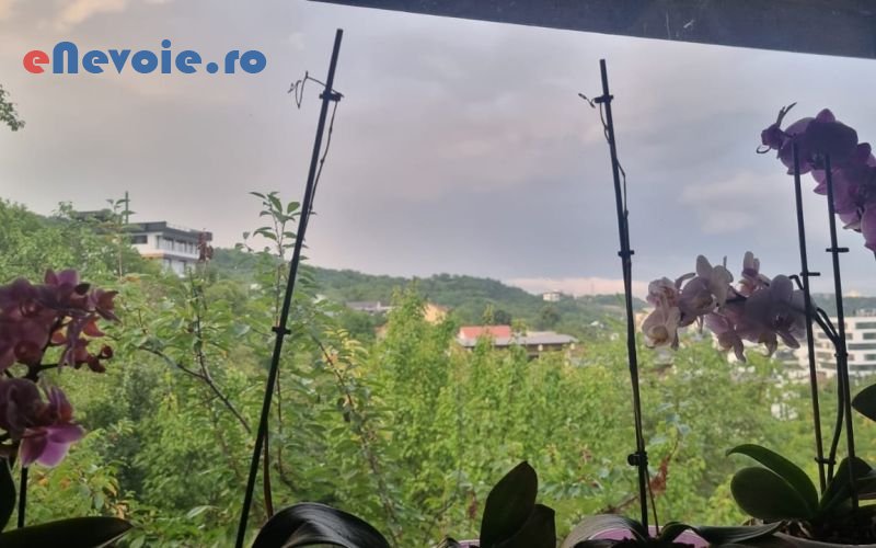 4camin-de-batrani-ingrijire-copii-si-batrani--asociatia-cre.png