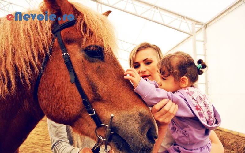 4recuperare-medicina-fizica-balneologie-kinetoterapie-servicii-medicale--asociatia-horse.png
