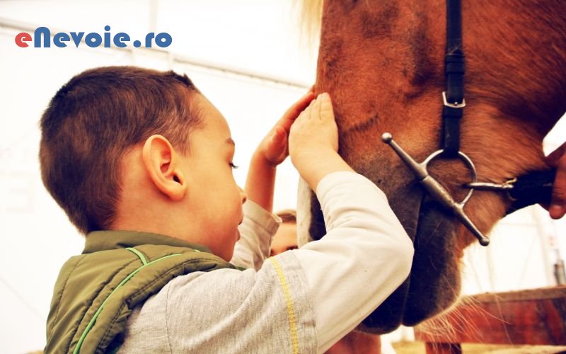 5recuperare-medicina-fizica-balneologie-kinetoterapie-servicii-medicale--asociatia-horse.png