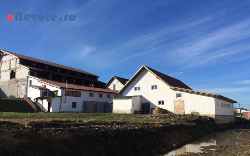 4reconditionari-suprafete-din-lemn-consultanta-in-constructii-proiectare-asistenta-tehnica-in-constructii-demolari-hidroizolatii-termoizolatii-ac.png