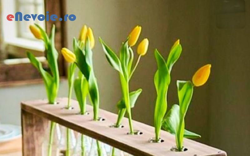 aranjamente-si-decoratiuni-homemade-handmade--auricavoicu-9549-ac5.png