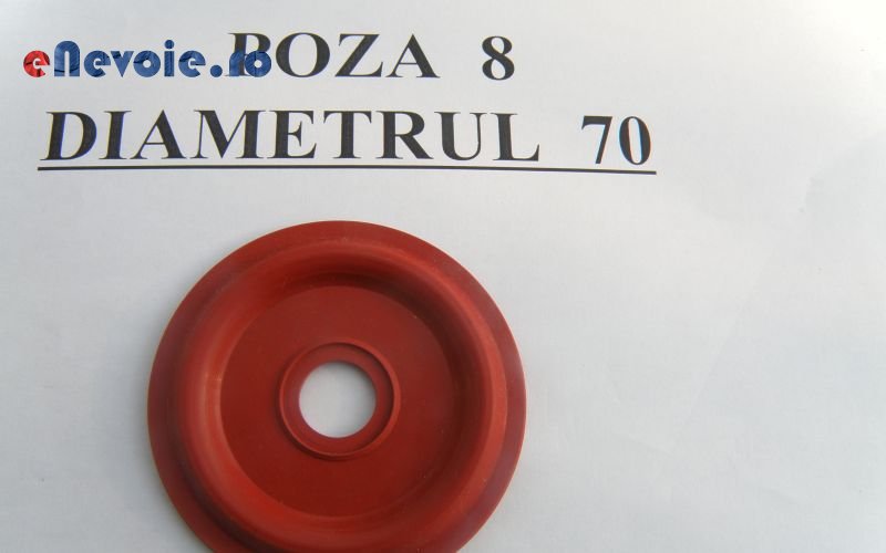 Imagine din portofoliu de lucrari