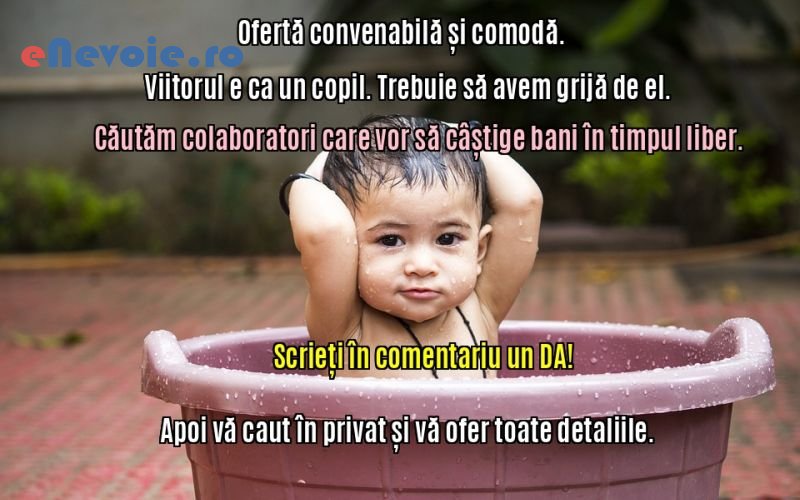 1certificare-energetica-consultanta-contabilitate-it--barbu-cosmina.png