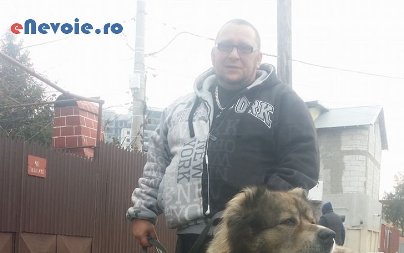 4dresaj-animale-ingrijire-animale--best-dogs-2220-.png