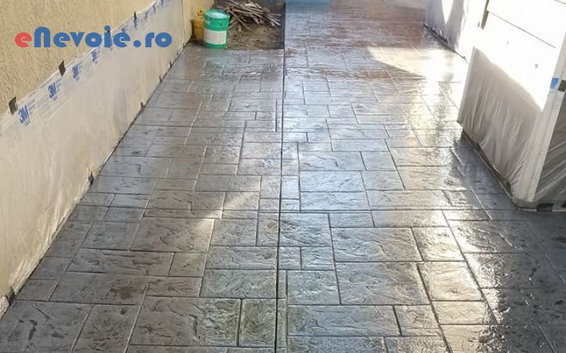 3montare-pavaj-casa-si-gradina--bily-sernando.png