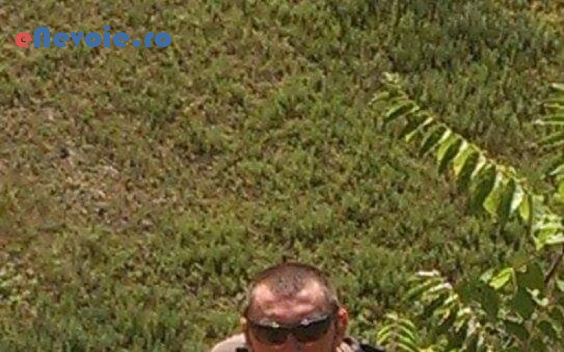 3alpinism-utilitar-reconditionari-suprafete-din-lemn-reconditionari-suprafete-din-beton-hale-metalice-demolari-hidroizolatii-termoi-bogdan-gogu-4.png