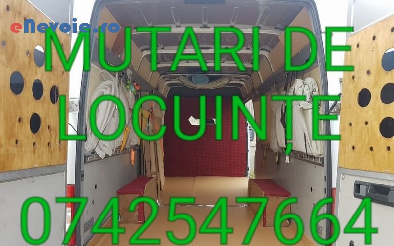 3servicii-mutari-transport-marfuri-transport-depozitare--catalin-nicu-.png