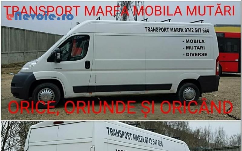 4servicii-mutari-transport-marfuri-transport-depozitare--catalin-nicu-.png