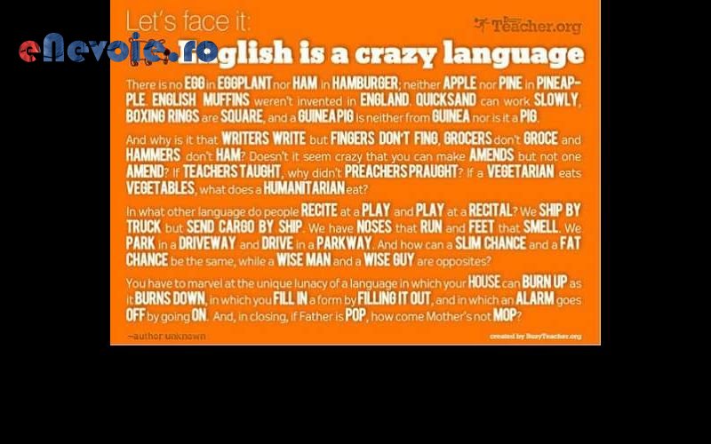 Imagine din portofoliu de lucrari