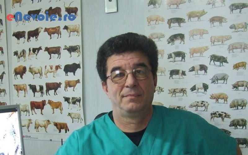 1clinica-veterinara-ingrijire-animale--cmi-dr-tanase.png