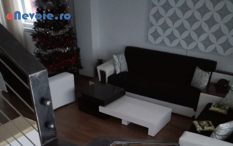 6balustrade-si-scari-casa-si-gradina--constantin-da.png