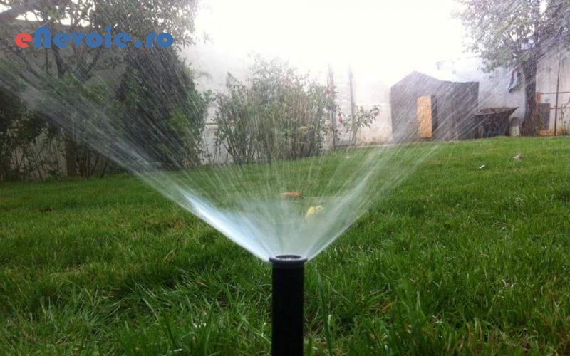 terase-gradina-amenajare-si-intretinere-spatii-verzi-casa-si-gradina--contact-6534-af6.png