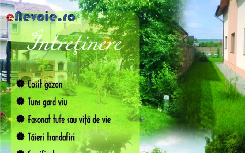 Imagine din portofoliu de lucrari