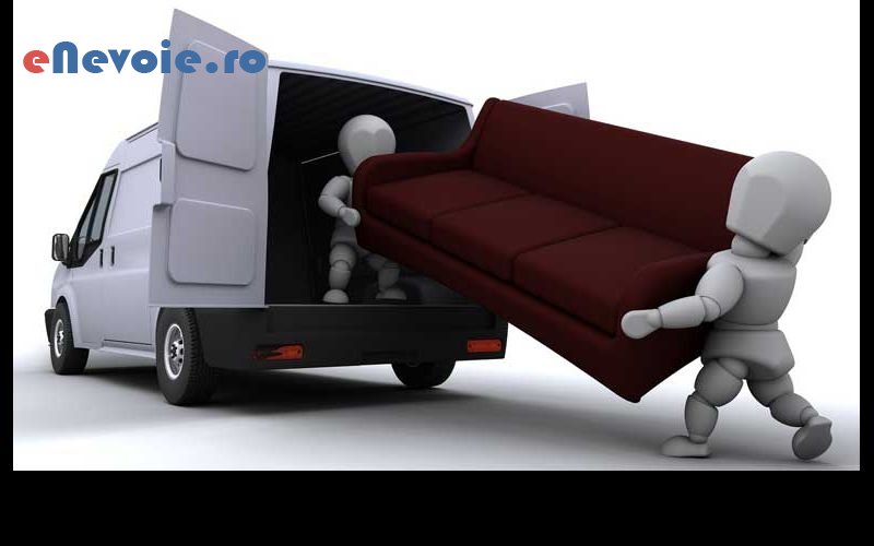 2servicii-mutari-transport-marfuri-transport-depozitare--corina-prisne.png