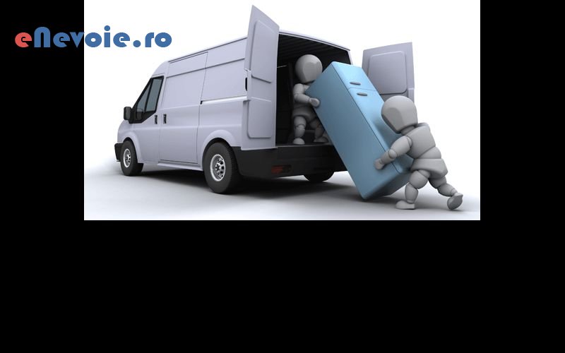 3servicii-mutari-transport-marfuri-transport-depozitare--corina-prisne.png