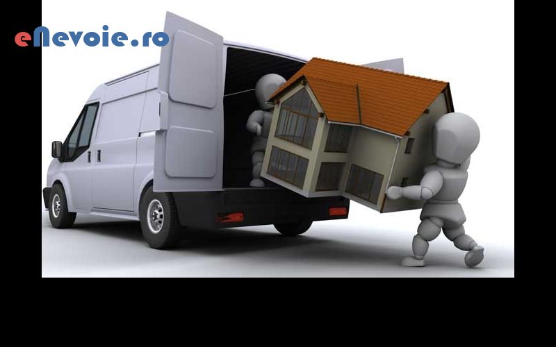 4servicii-mutari-transport-marfuri-transport-depozitare--corina-prisne.png