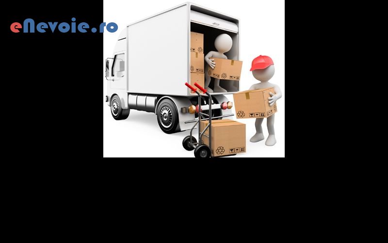 6servicii-mutari-transport-marfuri-transport-depozitare--corina-prisne.png