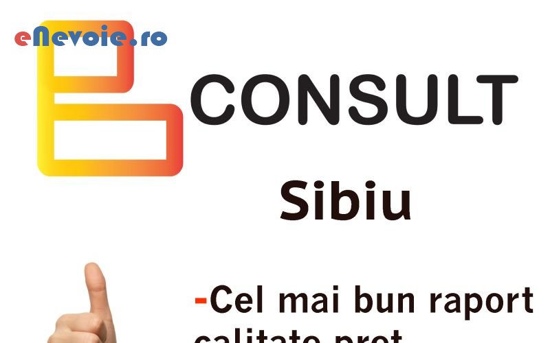 1servicii-contabilitate-consultanta-contabilitate-it--cristi-banciu-2.png