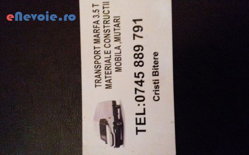 1servicii-mutari-transport-marfuri-transport-depozitare--cristi-bitere.png