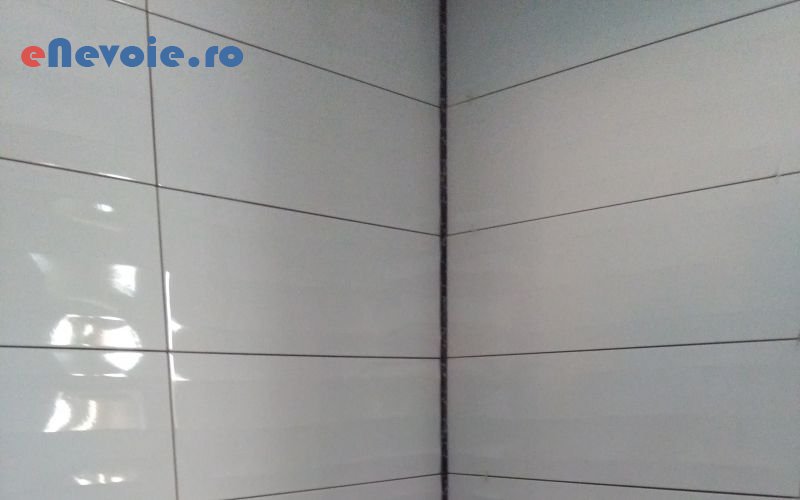 4montare-pavaj-constructii-gratare-amenajari-exterioare-amenajari-interioare-casa-si-gradina--daniel-grecu-y.png