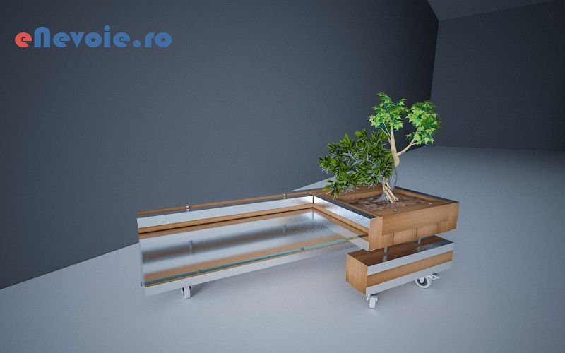 4amenajare-si-intretinere-spatii-verzi-design-interior-amenajari-exterioare-amenajari-interioare-casa-si-gradina--daniel-tintea.png