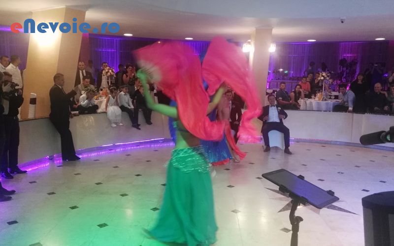 divertisment-evenimente-dj-fum-greu-gheata-carbonica-sonorizare-si-lumini-video-foto-organizari-nunti-si-botezuri-organizari-evenimente--dorianbandro-9480-0f3.png