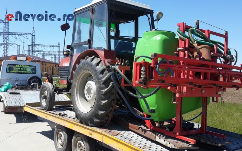 Imagine din portofoliu de lucrari