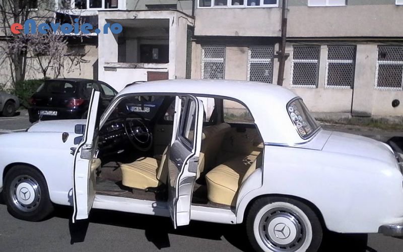 2animatie-pentru-copii-inchirieri-costume-tematice-formatie-muzicala-inchirieri-limuzine-inchirieri-masini-evenimente-organizari-nu-flaviu-buzila.png