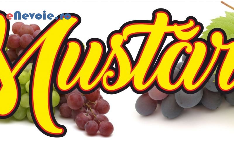 3agentie-de-publicitate-grafica-si-design-print-outdoor-gravare-laser-legatorie-autocolante-reclame-etichete-brosuri-pliante-banner-florin-radu-2t.png