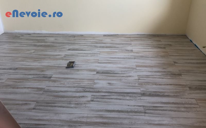 2montare-si-intretinere-parchet-amenajari-exterioare-amenajari-interioare-casa-si-gradina--gabriel-holic.png