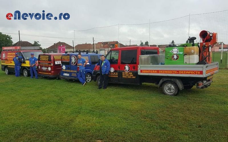 alte-servicii-alte-servicii-info-2923-801.png