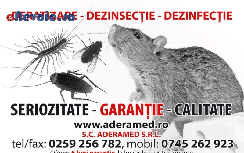 alte-servicii-alte-servicii-info-2923-802.png
