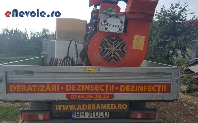 alte-servicii-alte-servicii-info-2923-803.png