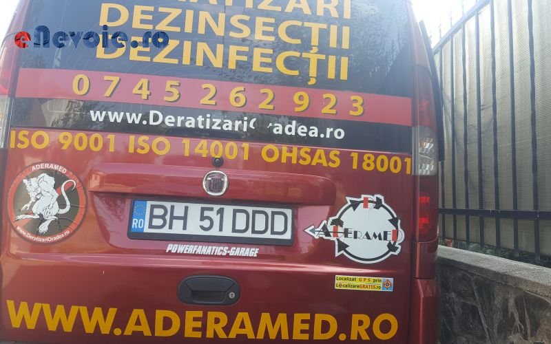 alte-servicii-alte-servicii-info-2923-804.png