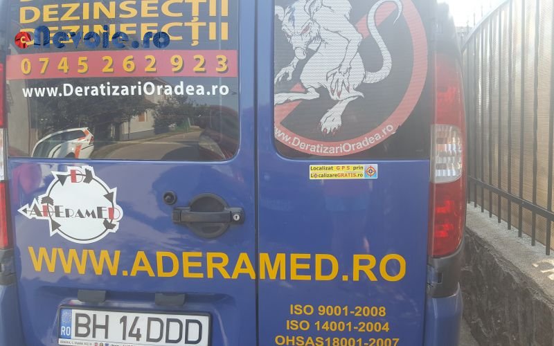 alte-servicii-alte-servicii-info-2923-805.png