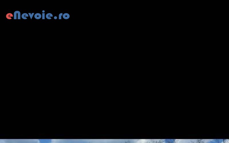 4vidanjare-desfundare-canalizari-sanitare-electrice-termice-gaze--ion-anghel-73.png