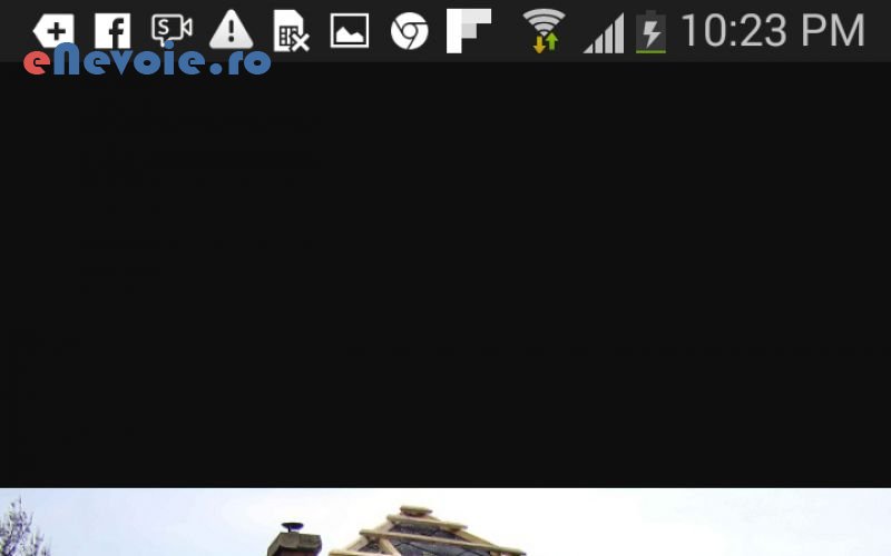 3acoperisuri-constructii--ion-executoruv.png