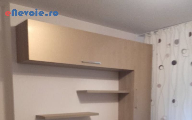 2usi-garaj-plasa-de-insecte-jaluzele-rulouri-exterioare-montare-mobila-ferestre-usi-reparatii-tamplarie-tamplarie-lemn-tamplarie-al-ionut-avram-2.png