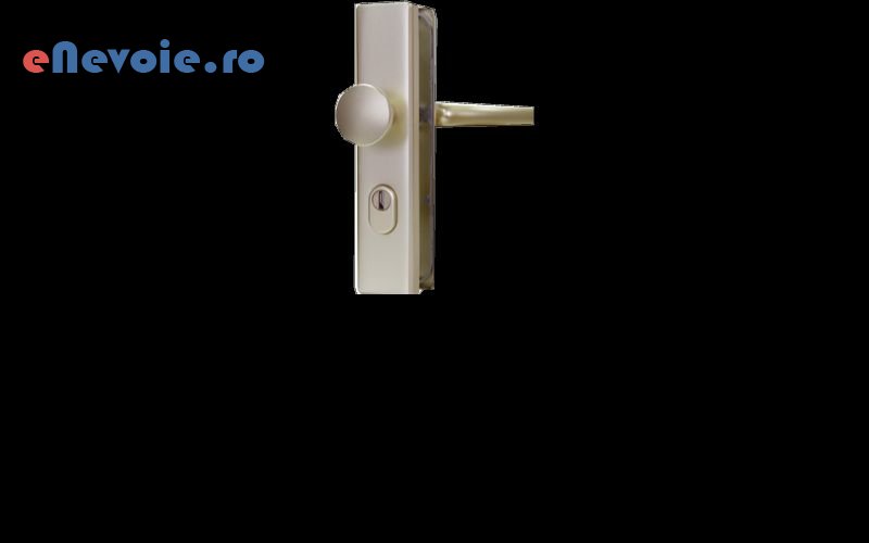 3deblocare-usi-casa-si-gradina--ionut-bajgan-.png