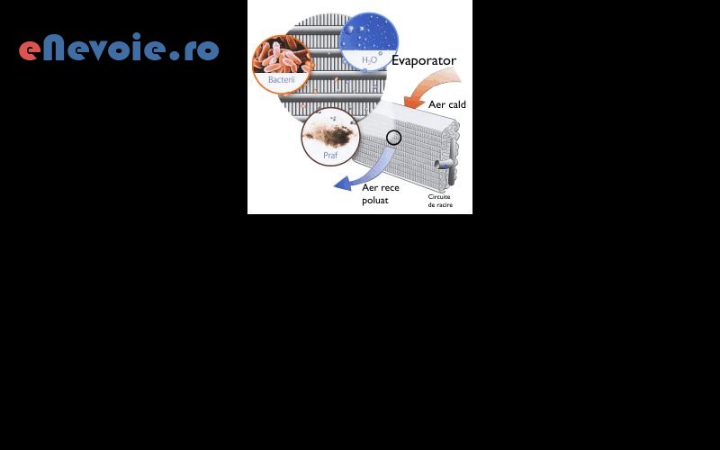 1mentenanta-instalatii-climatizare-reparatii-aparate-aer-conditionat-montare-aer-conditionat-instalatii-termice-sanitare-electrice--ionut-craciun.png