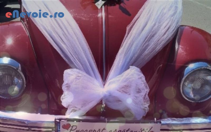 6inchirieri-masini-evenimente-organizari-evenimente--iulia-chende-.png