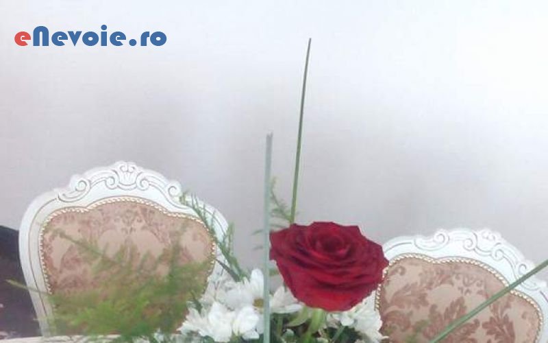 inchirieri-accesorii-evenimente-marturii-organizari-evenimente-organizari-evenimente--liviu-mates2000-3303-885.png