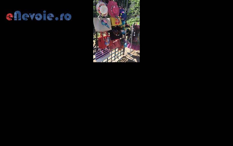 Imagine din portofoliu de lucrari