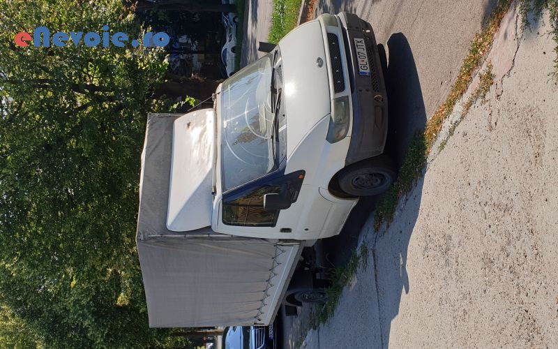 1servicii-mutari-transport-marfuri-transport-depozitare--lucian-criste.png